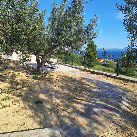 Holiday Home Vineyard House Bol Esterno foto