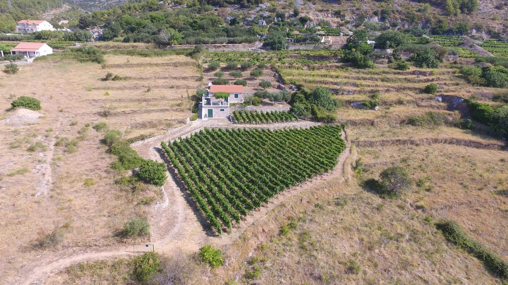 Holiday Home Vineyard House Bol Esterno foto